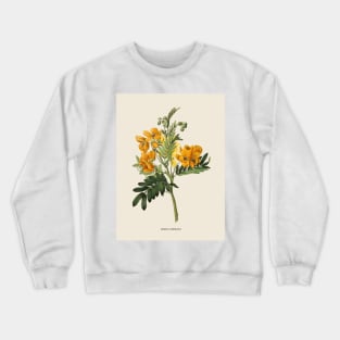 Wildflower Antique Botanical Illustration Crewneck Sweatshirt